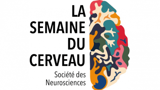 SEMAINE DU CERVEAU 2025