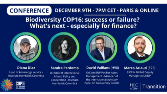 Biodiversity COP16: Success or Failure? What's Next - especially for Finance?