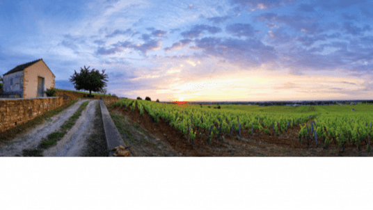 Dégustation exceptionnelle de grands vins rouges de cote de Beaune