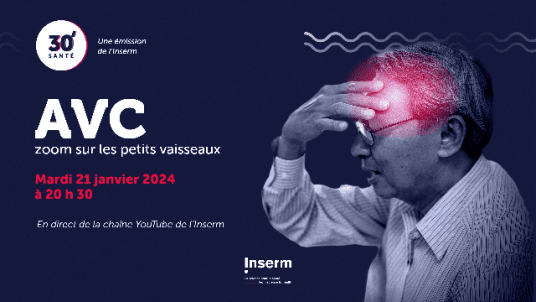 AVC : ZOOM SUR LES PETITS VAISSEAUX