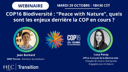 COP16 Biodiversité : "Peace with Nature", quels sont les enjeux derrière la COP en cours ?