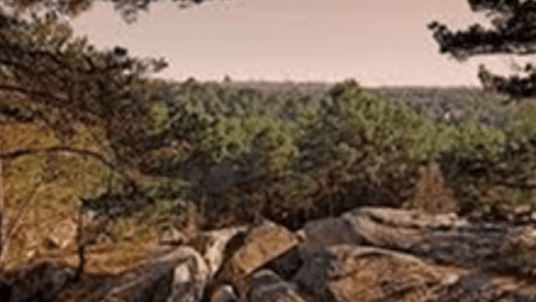 Randonnée pédestre en forêt de Fontainebleau 